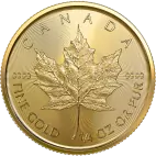 Investiční zlatá mince 1/4 oz Maple Leaf  2025